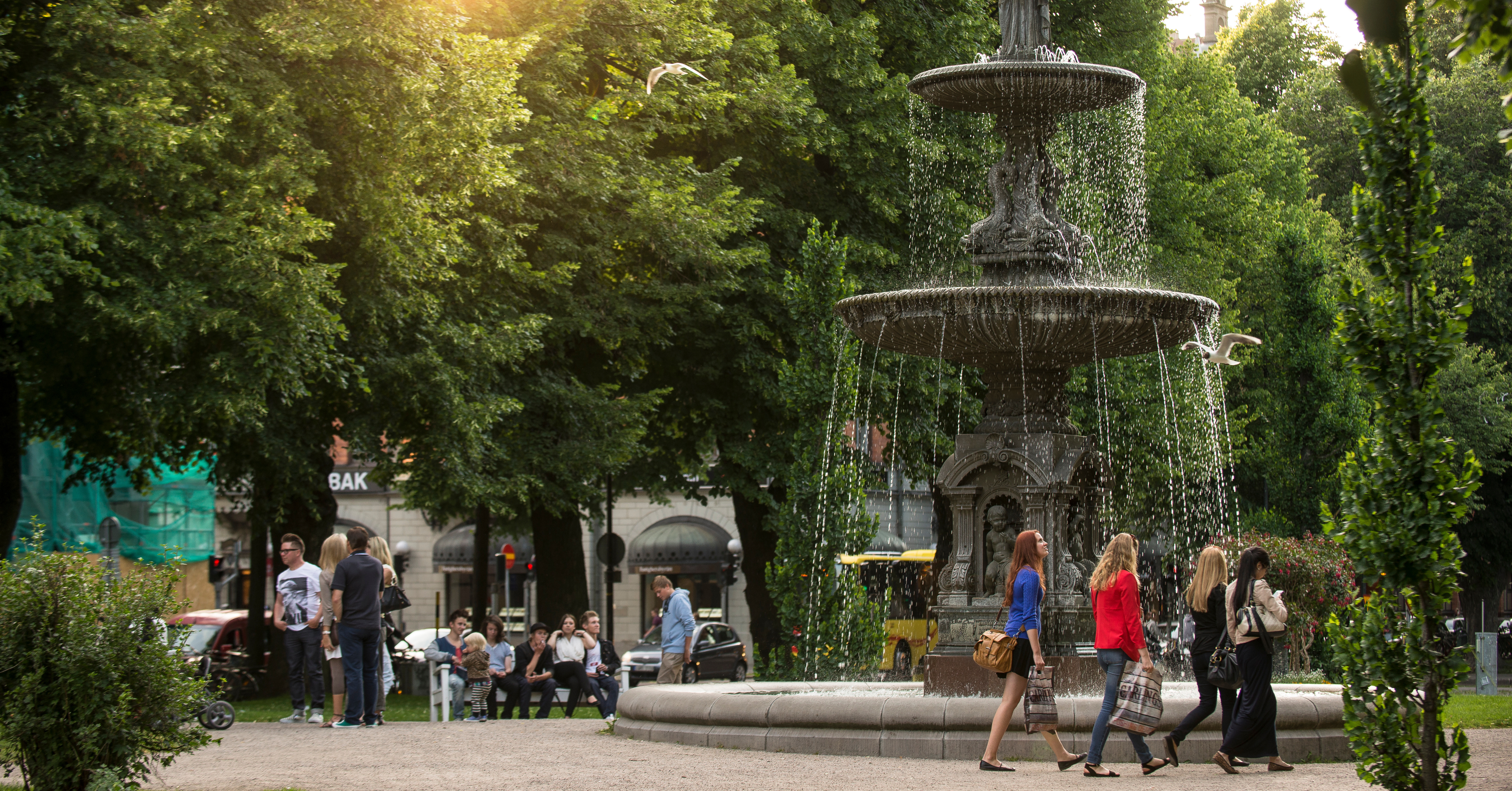 Vuxenvandring – anmäl ditt intresse här!